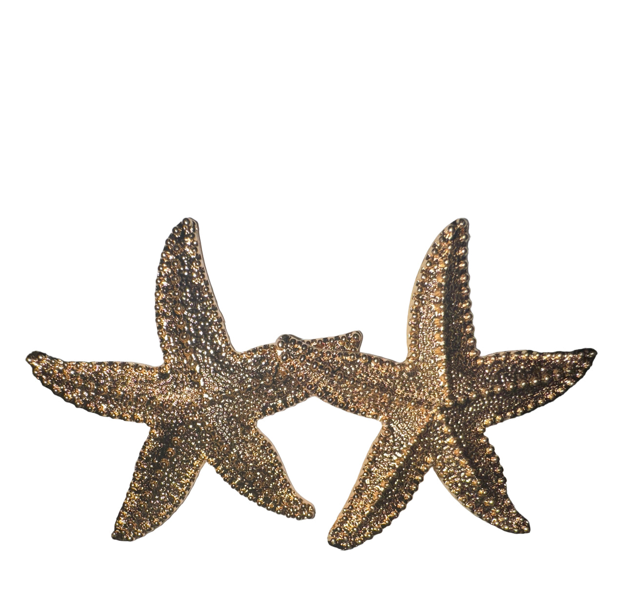 Starfish Earrings